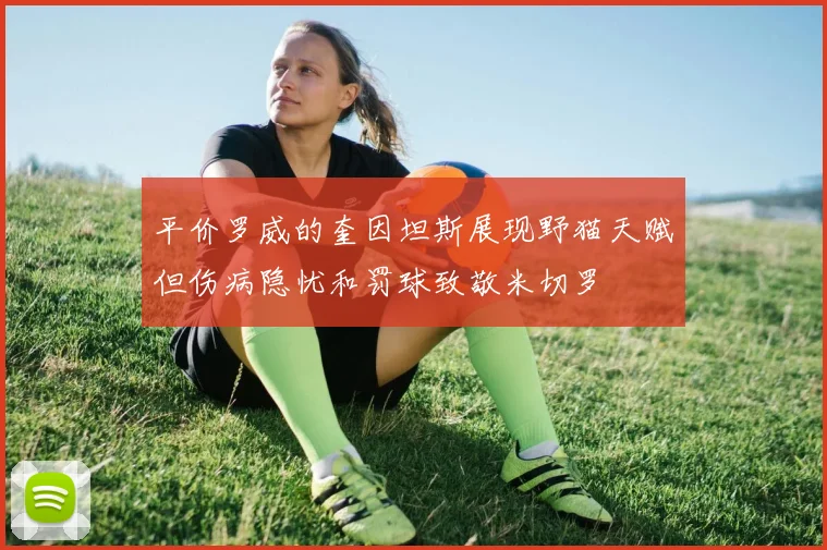 平价罗威的奎因坦斯展现野猫天赋但伤病隐忧和罚球致敬米切罗